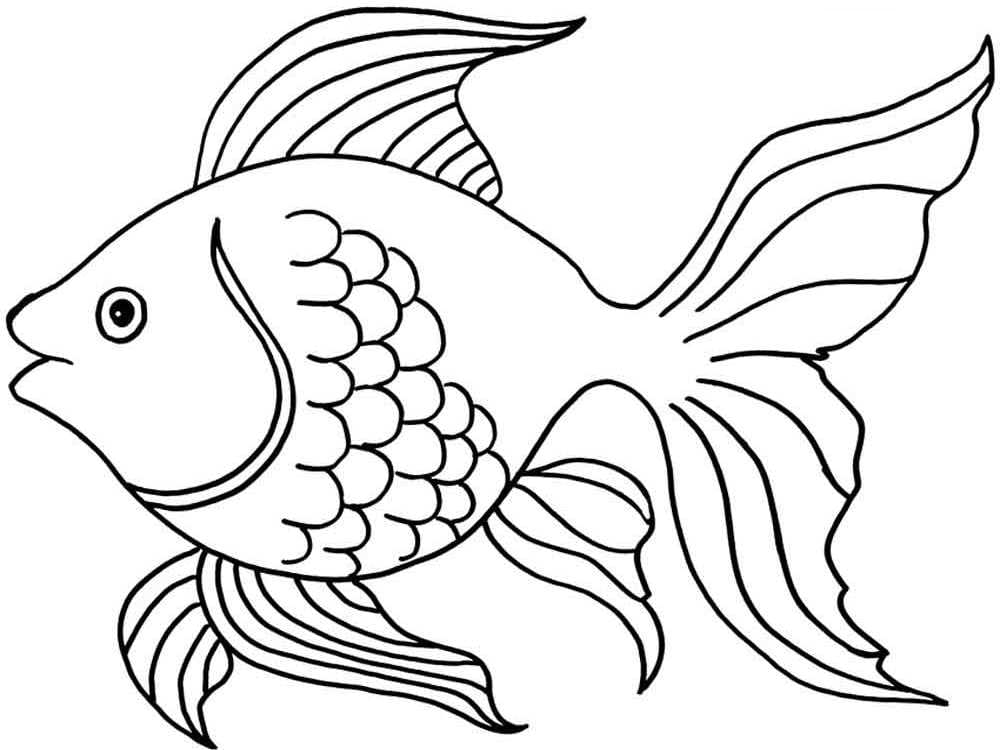 wonder day 5 year old coloring pages 84