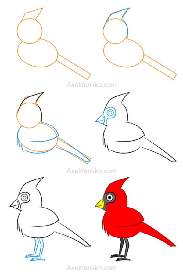 Рисовать птичку поэтапно для детей