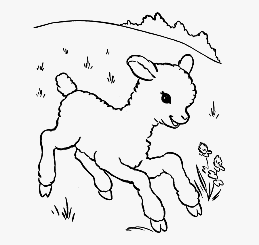 239 2391293 animals printable coloring pages baby lamb to color