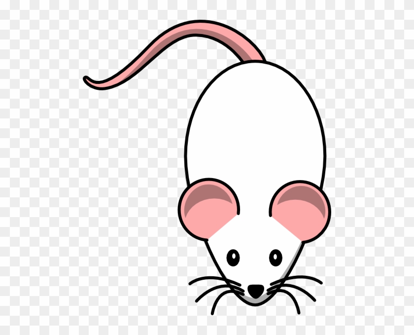 142 1426811 white with pink ears clip art rat clipart png