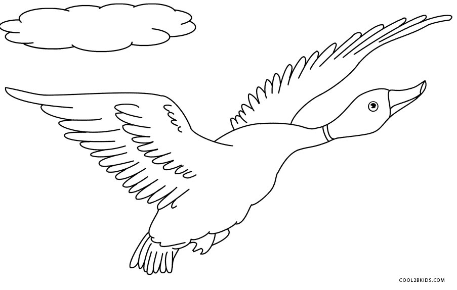 Flying Duck Coloring Pages