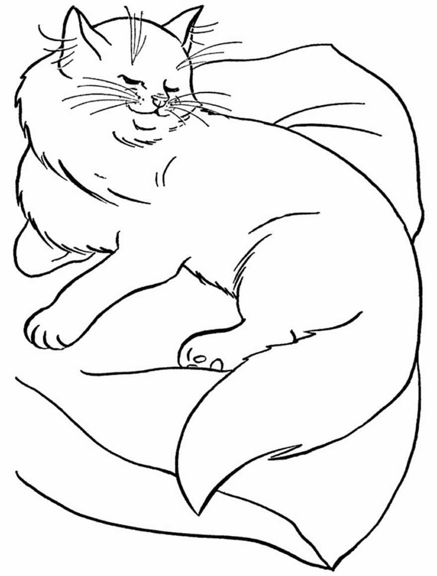 desenho de gatinho para colorir 9 1