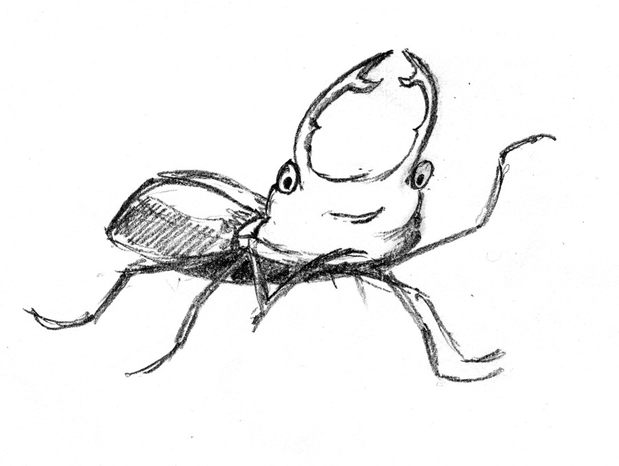 Как нарисовать фольксваген жук