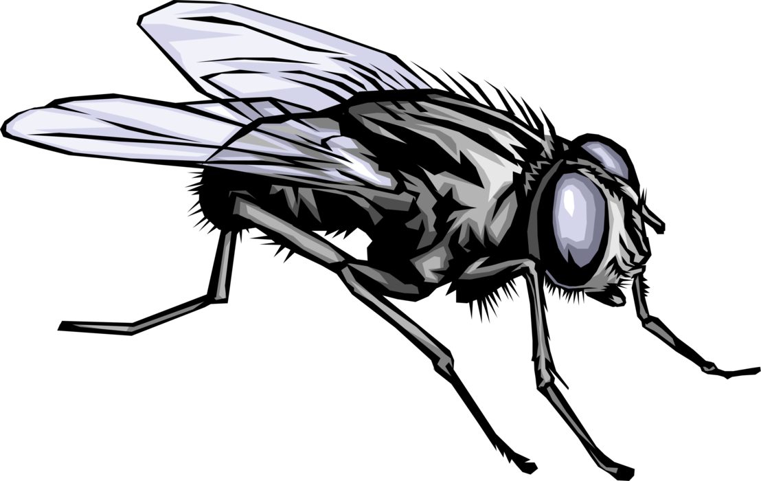 99 990833 1108 x 700 13 home fly clipart black