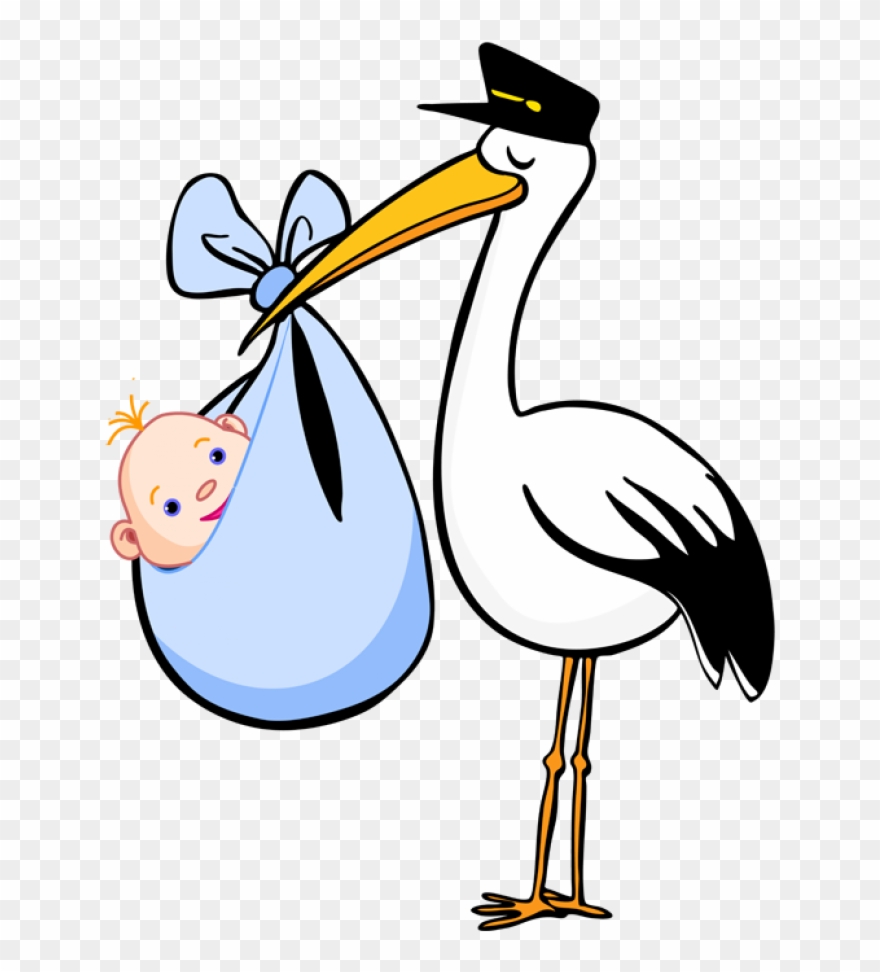 0 3681 pix for stork baby png stork baby clipart