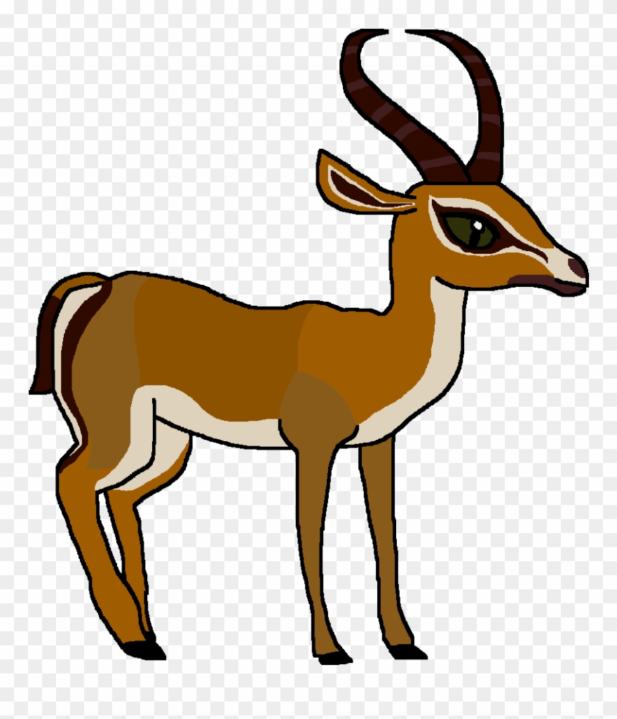 68 689187 gazelle clipart springbok springbok clipart png download