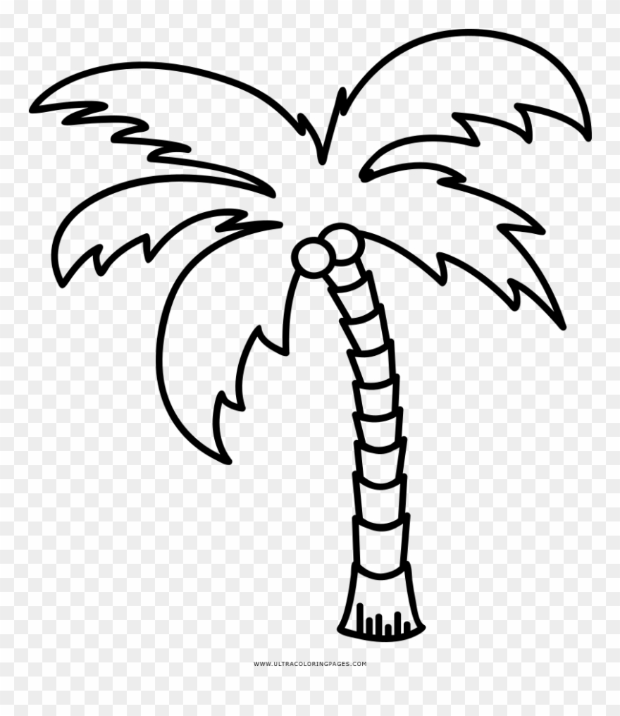 93 934422 palm tree line art clipart