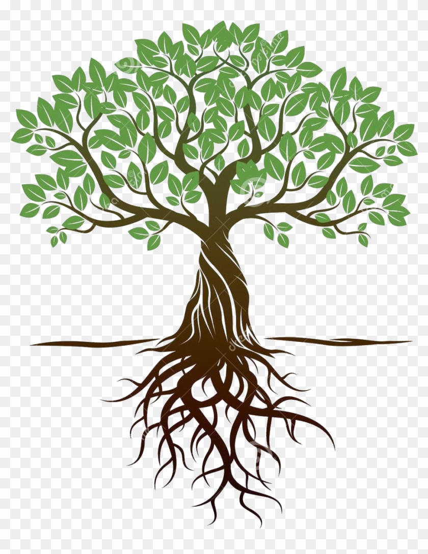 Дерево с корнями рисунок