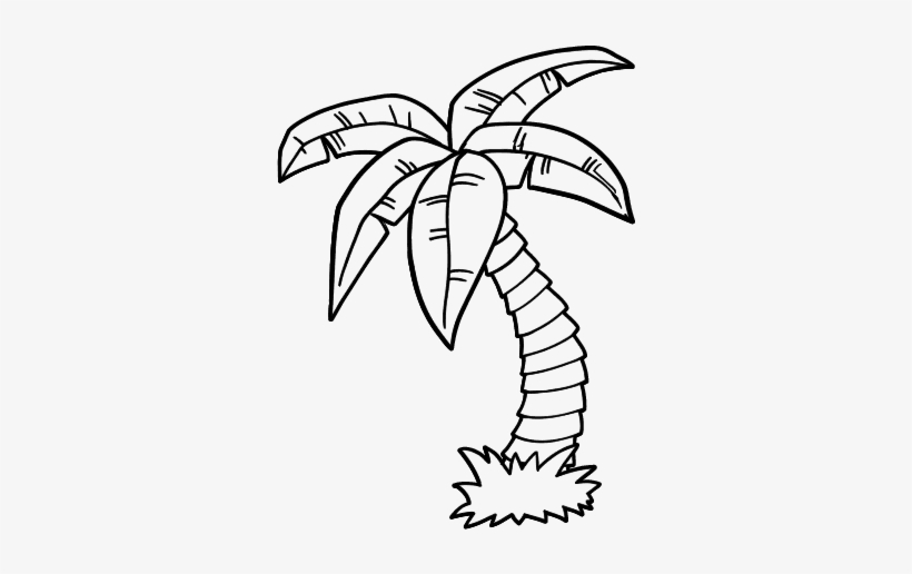 212 2122050 colouring pages palm trees