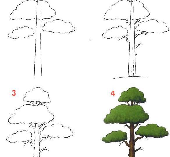 Как нарисовать сосну карандашом поэтапно карандашом для начинающих