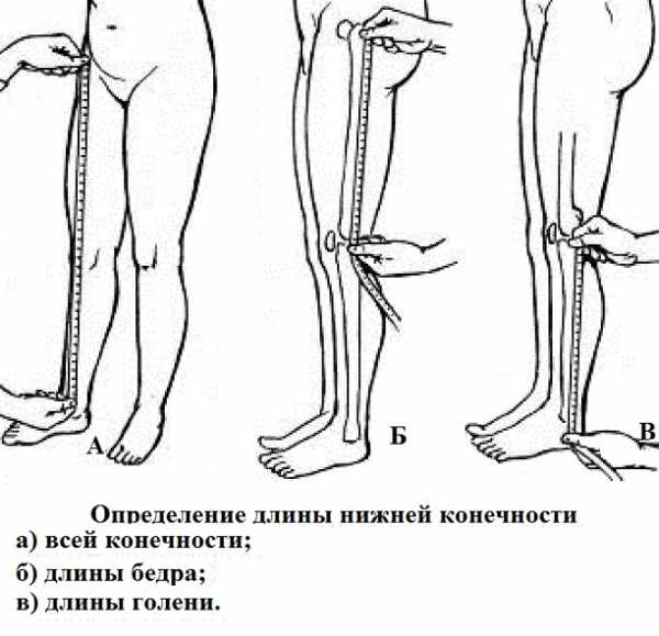 Расстояние между ног у девушек фото