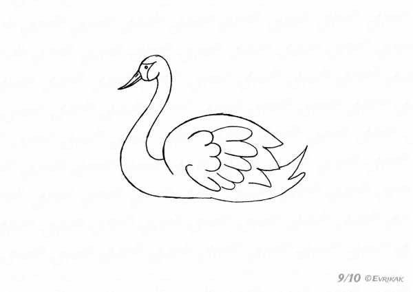 Как нарисовать лебедя в воде