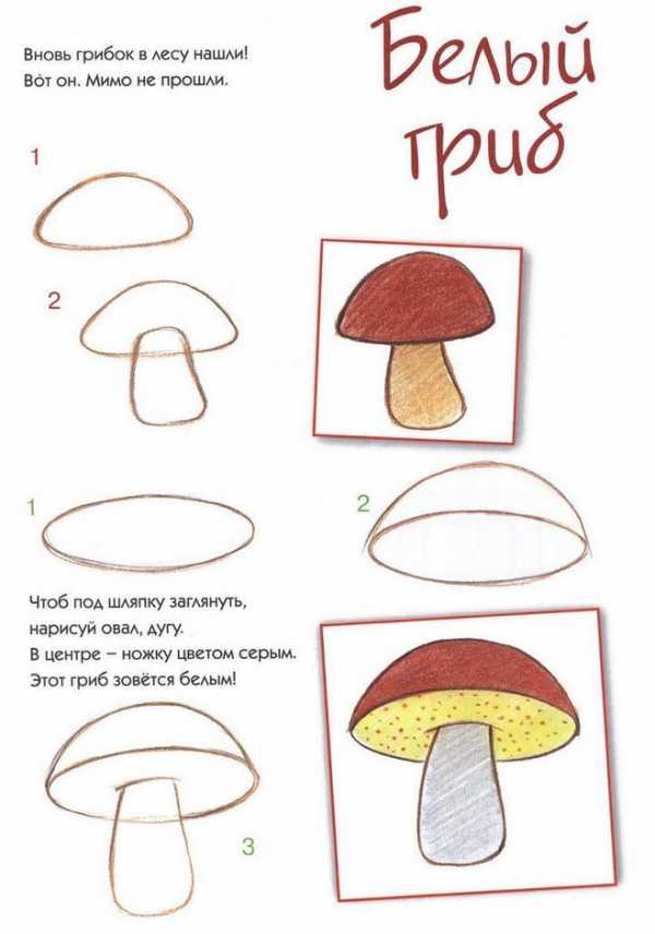 Как нарисовать гриб на компьютере