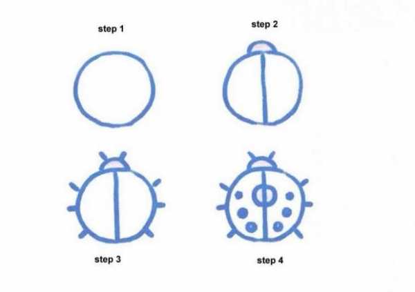 Нарисовать божью коровку карандашом поэтапно