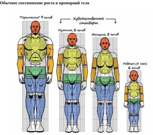 Как нарисовать клетку человека нарисовать