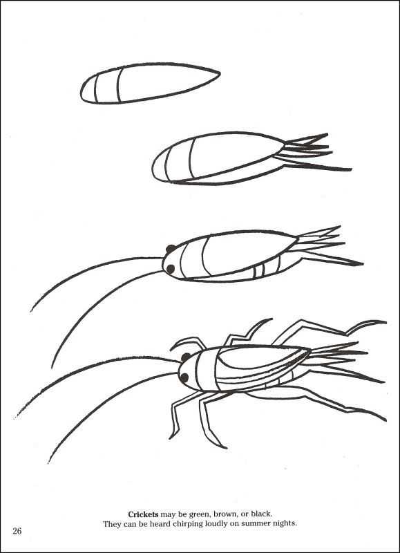 Как нарисовать насекомых