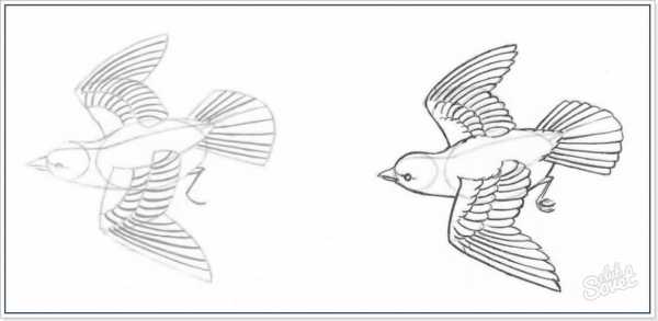Как можно нарисовать птичку