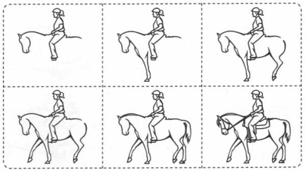 Как нарисовать всадника на коне поэтапно