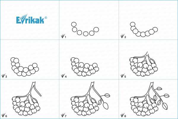 Как рисовать рябину