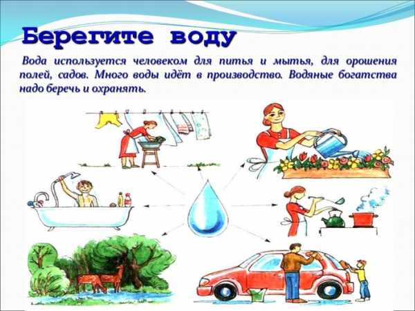 Безопасность в природной среде рисунок