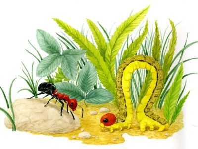 Картинка муравей для детей в детском саду