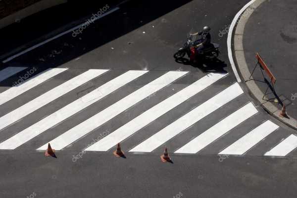 Фото зебра пешеходный переход