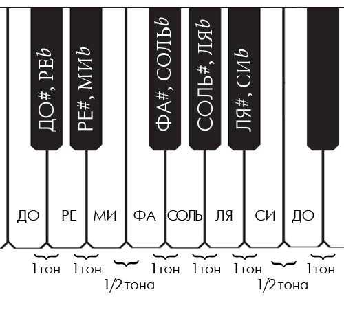 Чему соответствует основные ступени на клавиатуре фортепиано