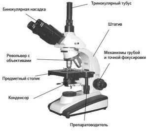 Микроскоп фото с обозначениями