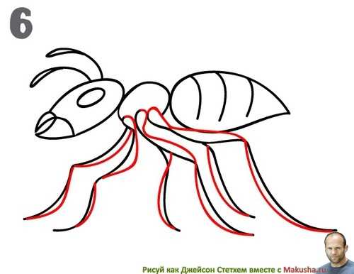 Рисунок муравья для детей 1 класса