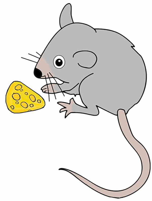 Мышонок с сыром картинка для детей