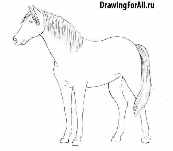 Как легко нарисовать лошадь ребенку