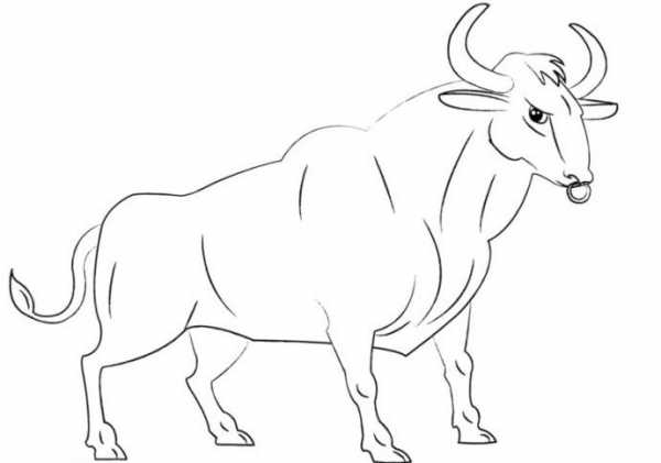 Как рисовать быка