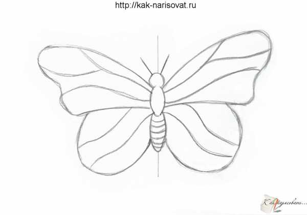 Бабочка схематично рисунок